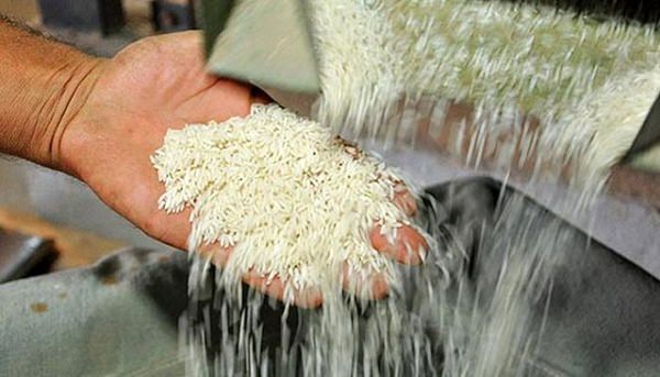افزایش ۱۰ تا ۲۰ درصدی قیمت برنج خارجی