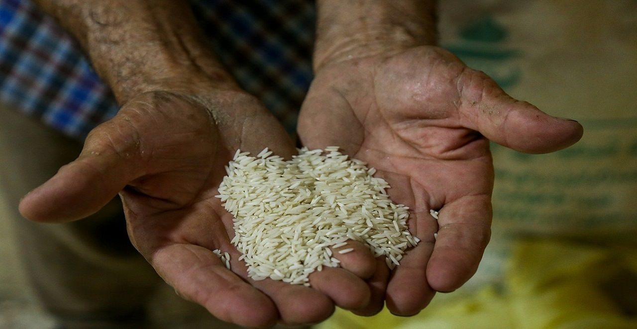واردات، ترمز گرانی برنج ایرانی را کشید