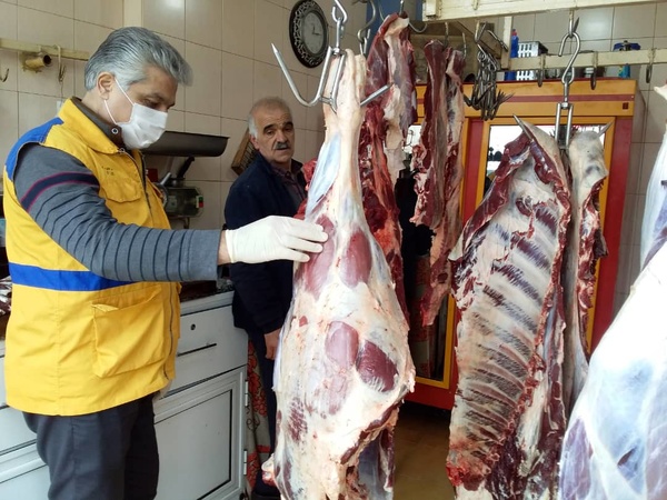 گزارش فروش گوشت اسب و الاغ