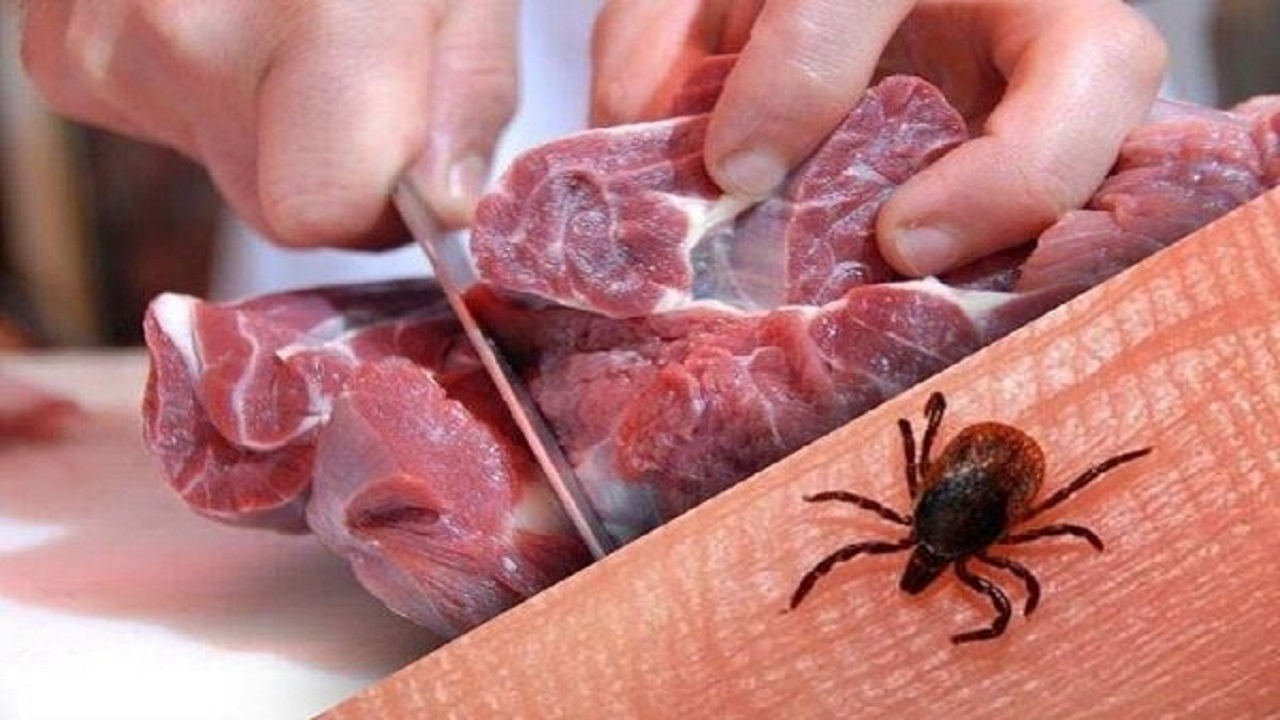 ابتلای ۵ نفر به تب کریمه کنگو در سال جاری