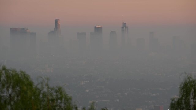 آلودگی هوا سالانه منجر به ۷ میلیون مرگ می‌شود