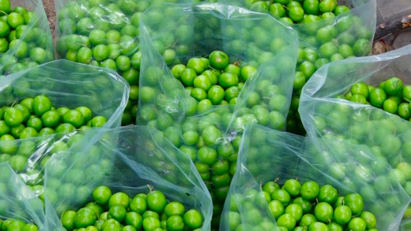 گوجه سبز بازار‌های تهران قاچاق است